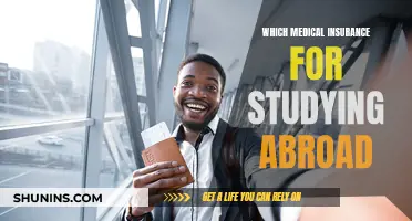 Best Medical Insurance Options for Studying Abroad