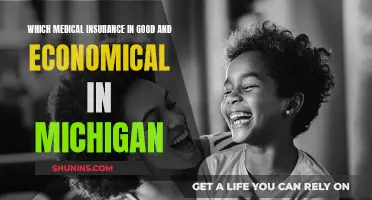 Michigan's Best Medical Insurance Plans: Affordable Options