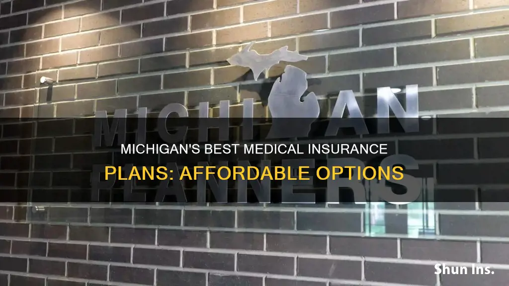 which medical insurance in good and economical in Michigan