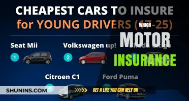 The Right Motor Insurance: How to Choose