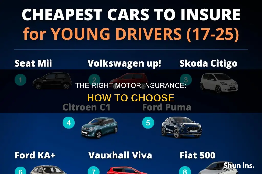 which motor insurance