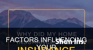 which of the following affect your insurance preuim