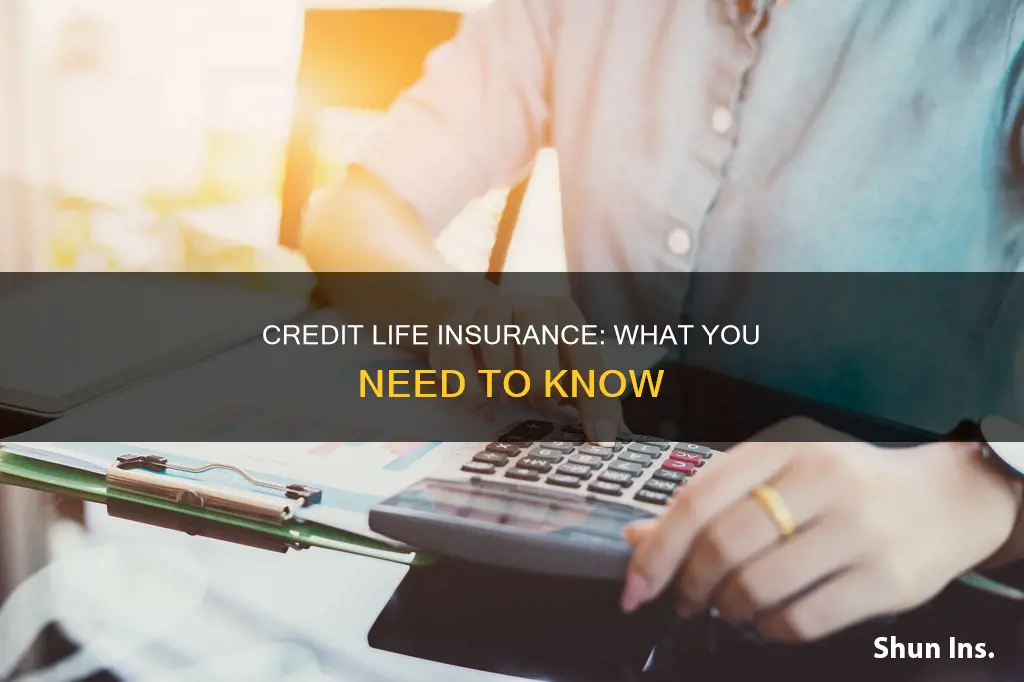 which of the following applies to credit life insurance