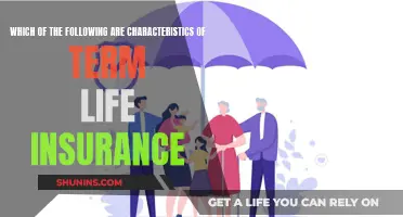 Term Life Insurance: Key Traits Explained