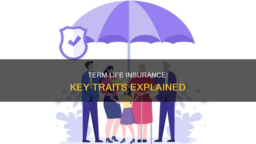 which of the following are characteristics of term life insurance