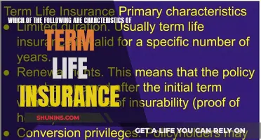 Understanding Term Life Insurance: Key Features and Benefits