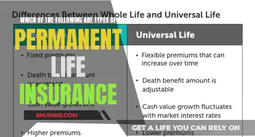 Understanding the Different Types of Permanent Life Insurance