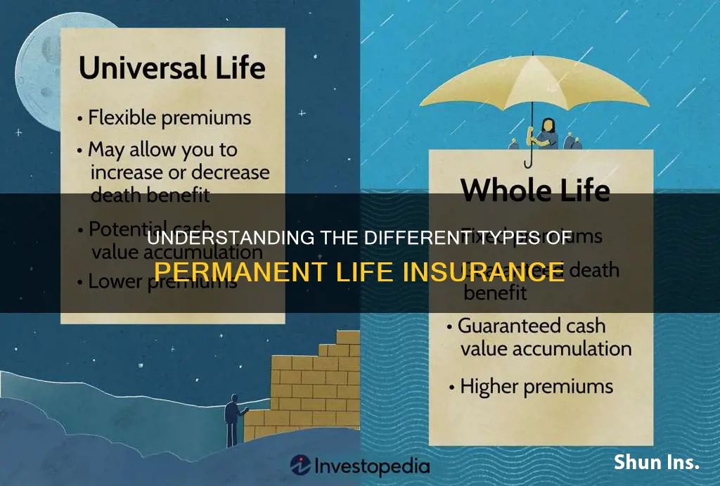 which of the following are types of permanent life insurance