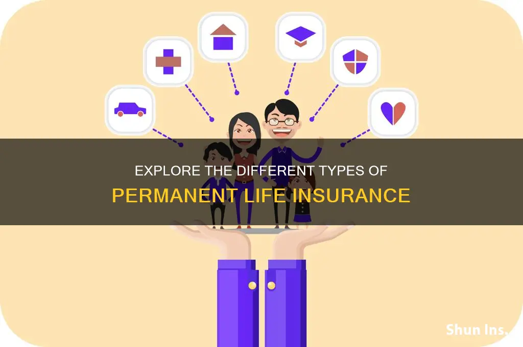 which of the following are types of permanent life insurance