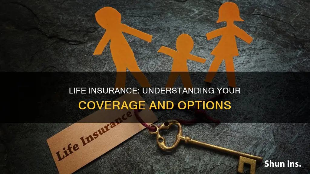 which of the following best describes life insurance