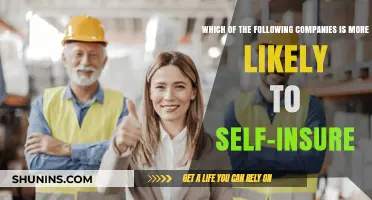 Self-Insurance Potential: Which Companies Are More Likely to Go Solo?