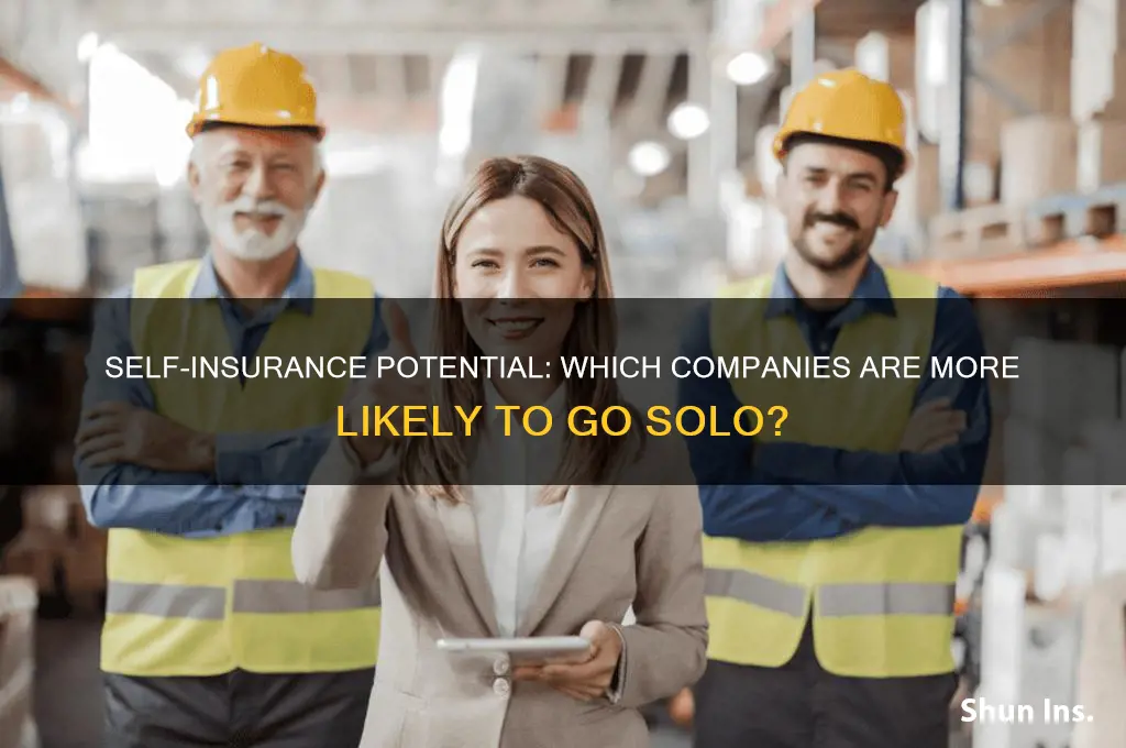which of the following companies is more likely to self-insure
