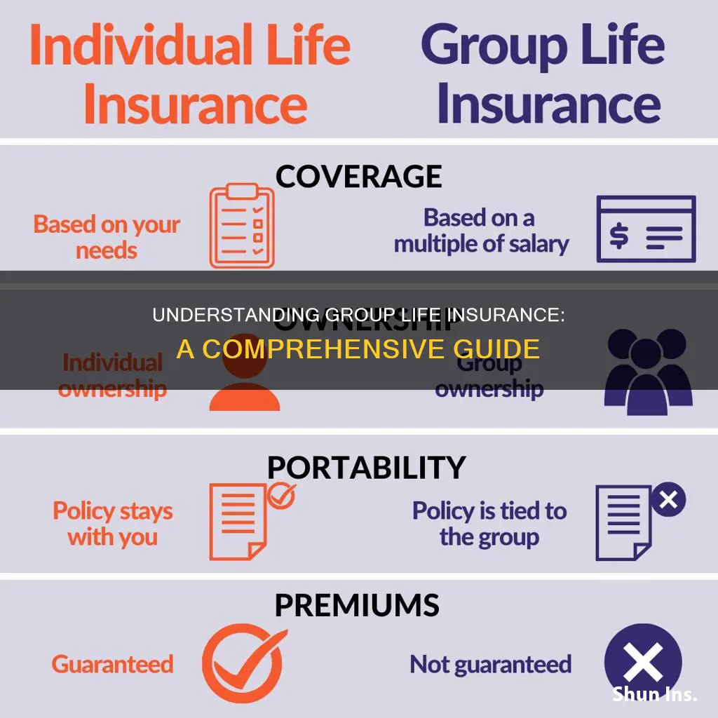 which of the following describes group life insurance