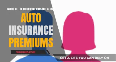 Factors Unrelated to Auto Insurance Premiums