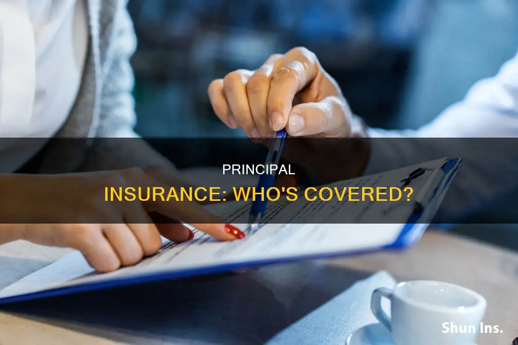 which of the following entities is considered the principal insurance