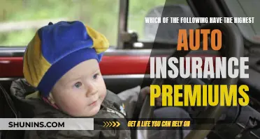 Factors Affecting Auto Insurance Premiums: What's the Costliest?