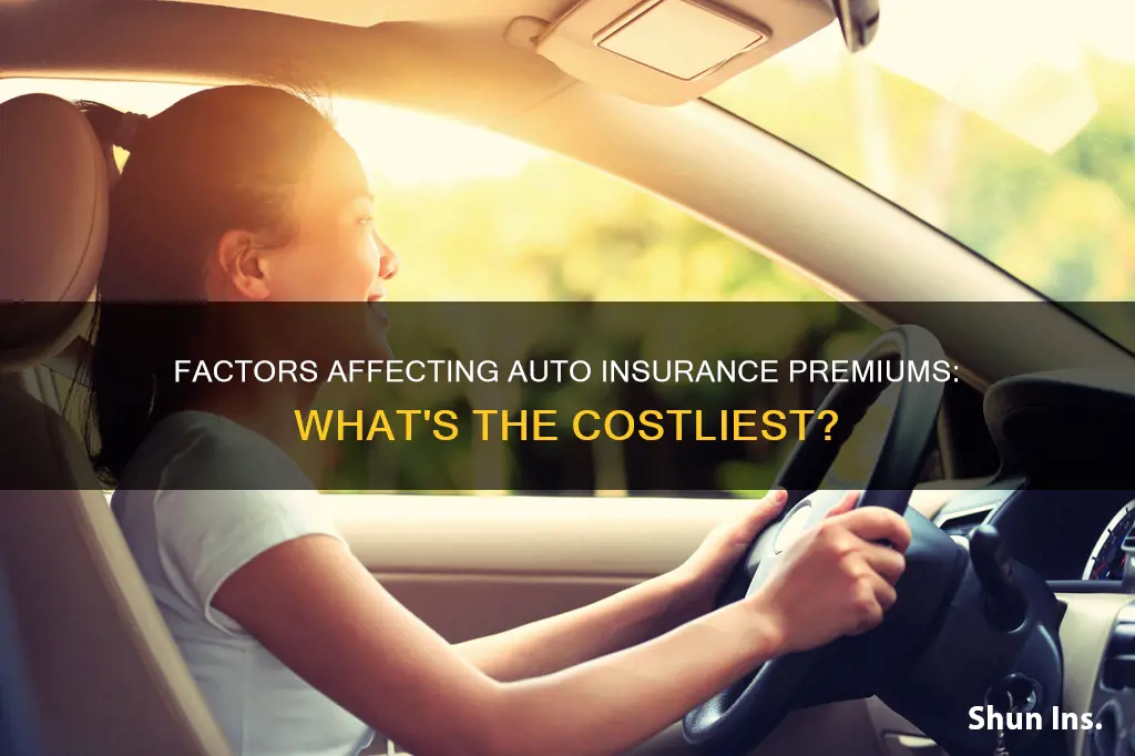 which of the following have the highest auto insurance premiums