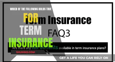 Unveiling the Truths Behind Term Insurance: Exploring the Validity of Common Assumptions