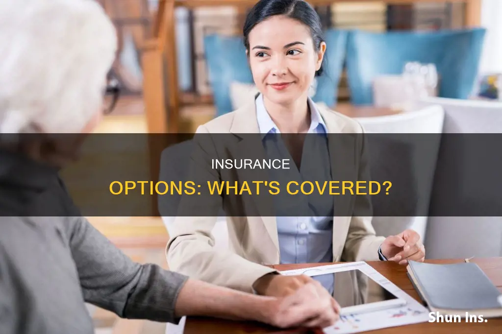 which of the following insurance options would be considered