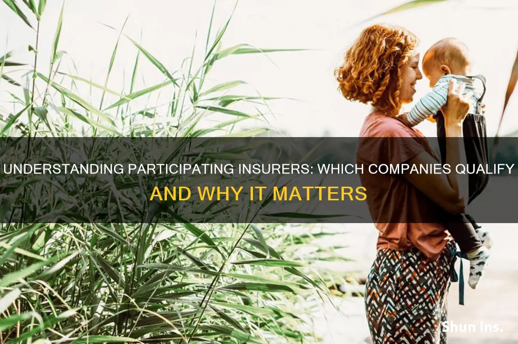 which of the following insurers is considered a participating company