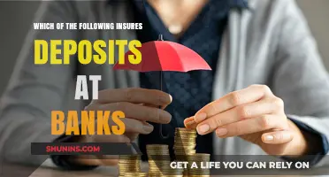 Deposit Insurance: Who Protects Your Money in the Bank?