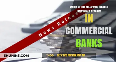 Deposit Insurance: Who Protects Your Money in Banks?