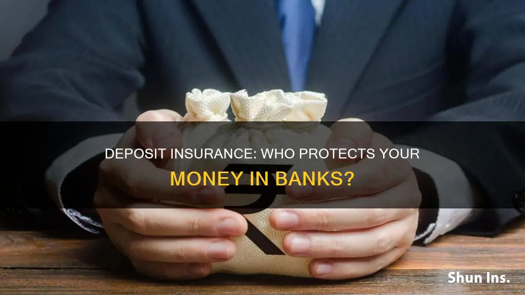 which of the following insures individuals deposits in commercial banks