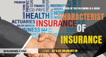 Understanding Insurance: Key Basic Characteristics Every Policyholder Should Know
