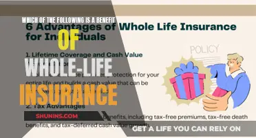 Whole-Life Insurance: A Lifelong Financial Security Net