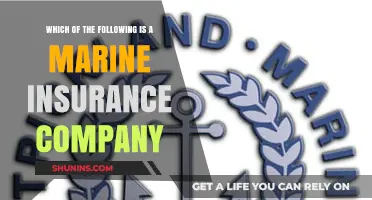 Top Marine Insurance Companies: Identifying the Right Provider for You