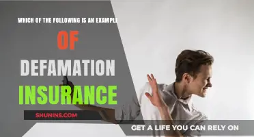 Understanding Defamation Insurance: Key Examples and Coverage Explained