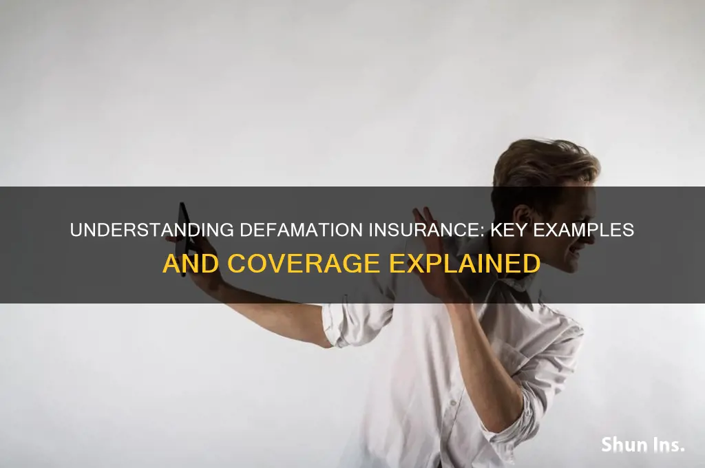 which of the following is an example of defamation insurance
