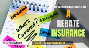 Rebate Insurance: What's Not Covered