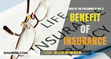Unveiling the Misconception: What Insurance Doesn't Actually Offer You