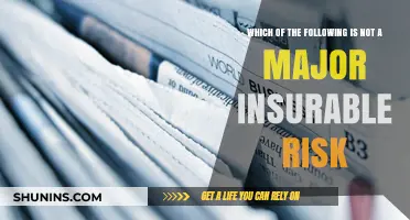 Understanding the Limits of Insurable Risks