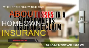 Homeowner's Insurance: What You Need to Know