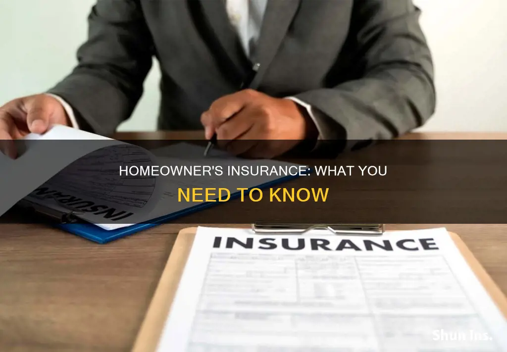 which of the following is true about homeowner