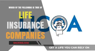 Understanding Life Insurance Companies: Key Facts and Common Misconceptions