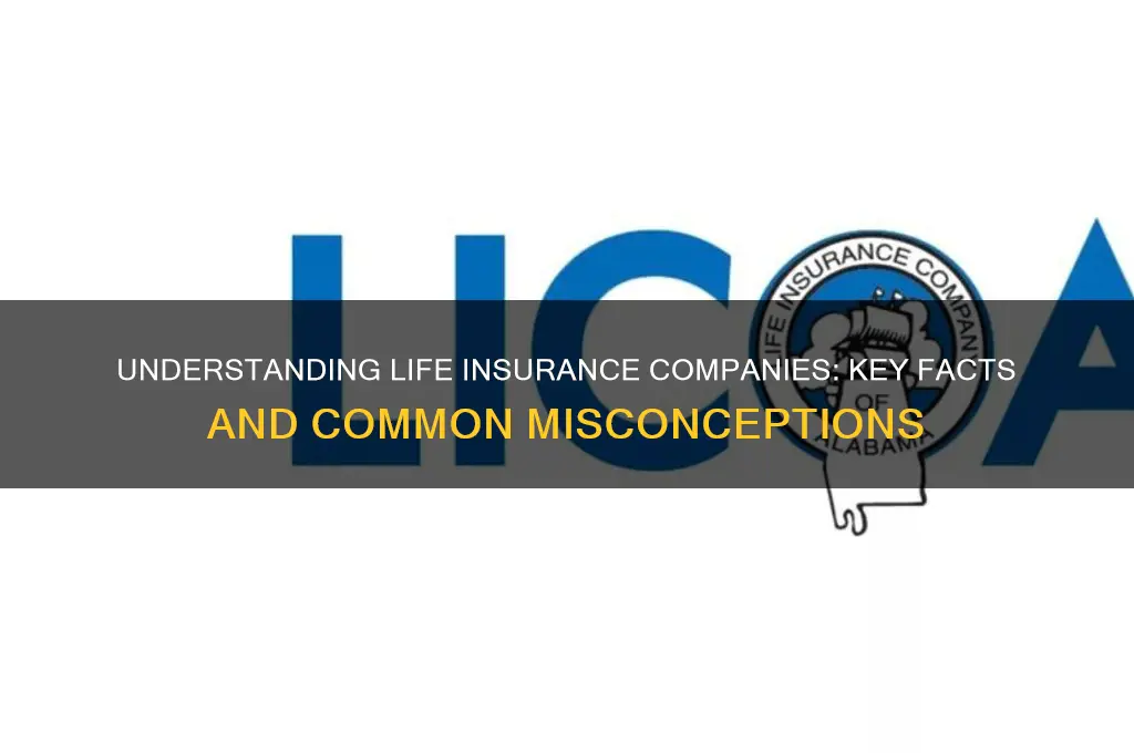 which of the following is true of life insurance companies