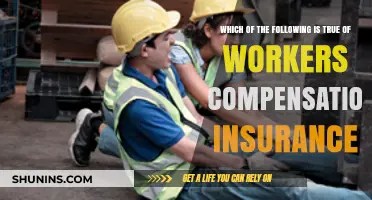 Understanding Workers Compensation Insurance: Key Facts and Common Misconceptions
