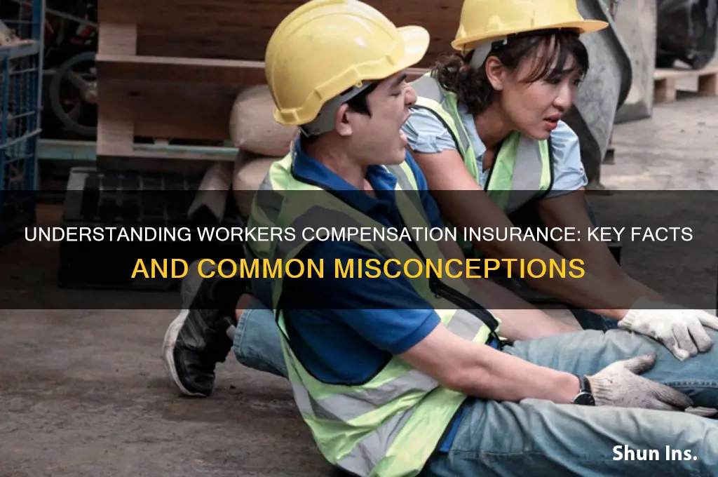 which of the following is true of workers compensation insurance
