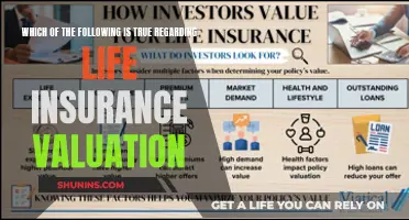 Life Insurance Valuation: Unveiling the Truth Behind the Numbers