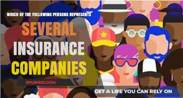 Insurance Brokers: Representing Multiple Companies for Diverse Client Needs