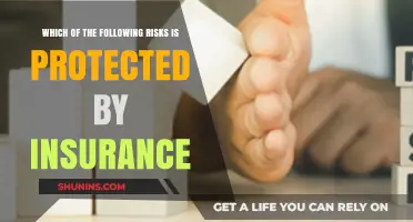 Protecting Your Assets: Insurance Coverage for Potential Risks