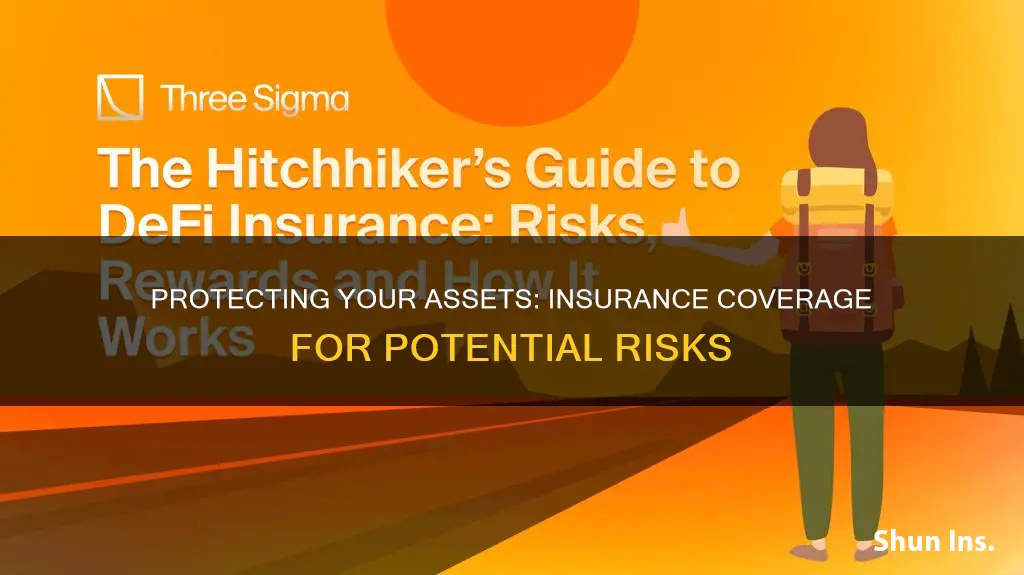 which of the following risks is protected by insurance