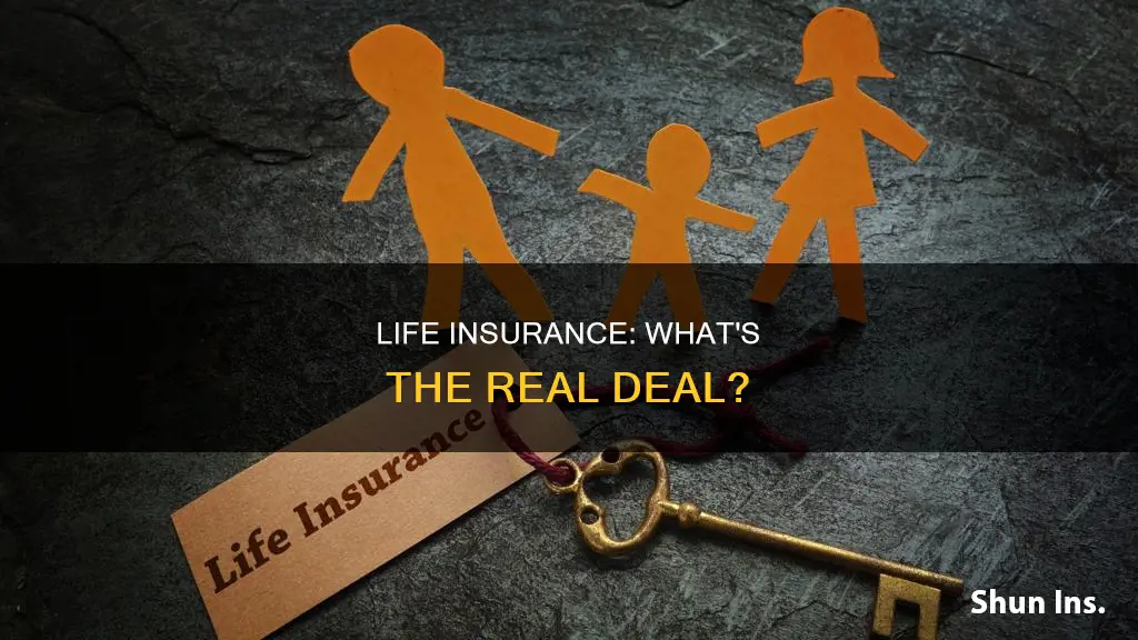 which of the following statements is true regarding life insurance