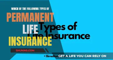 Explore Permanent Life Insurance Options and Their Benefits