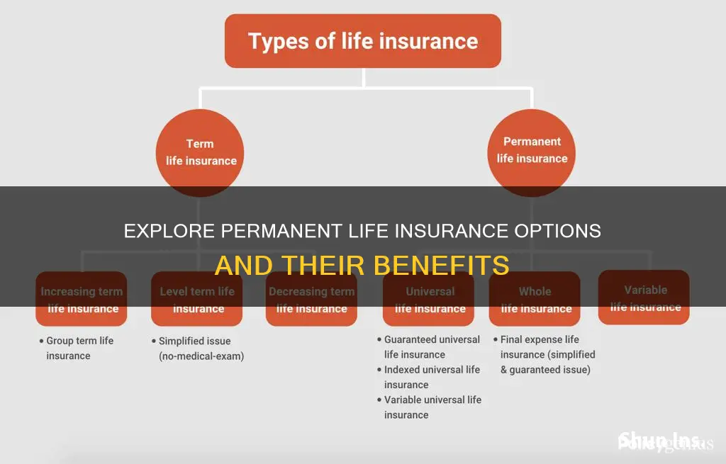 which of the following types of permanent life insurance