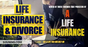 Life Insurance: Securing Your Family's Future