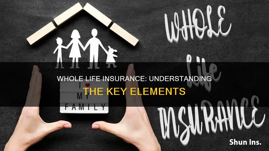 which of these is an element of whole life insurance
